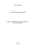 Monografia_Dianiris_Rodriguez.pdf